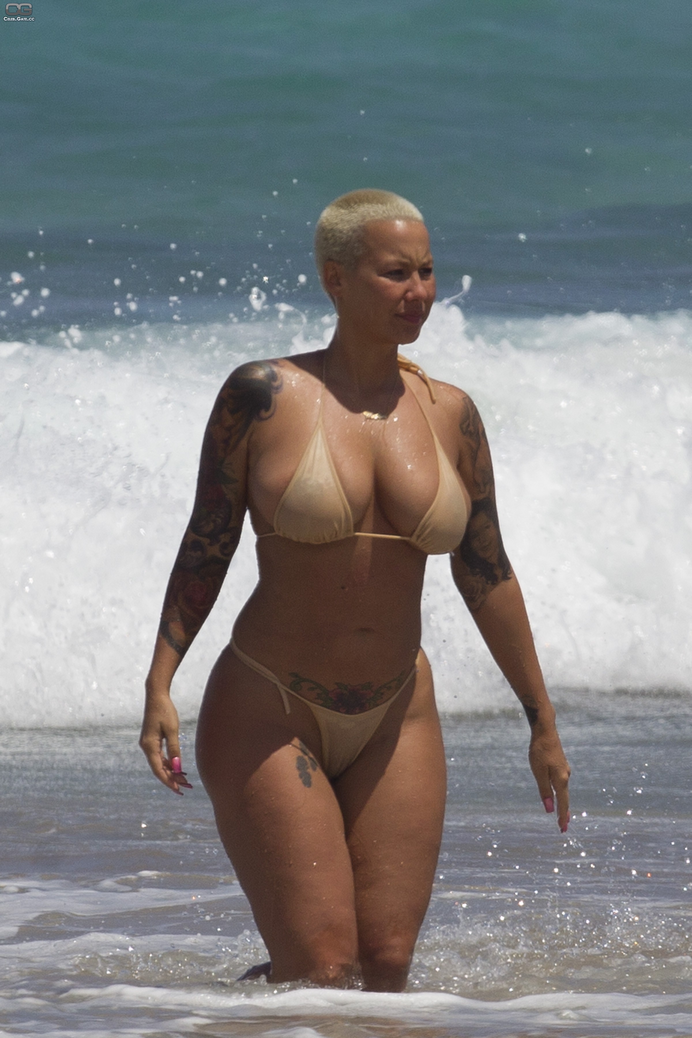 Amber Rose Porn Sex Xxx