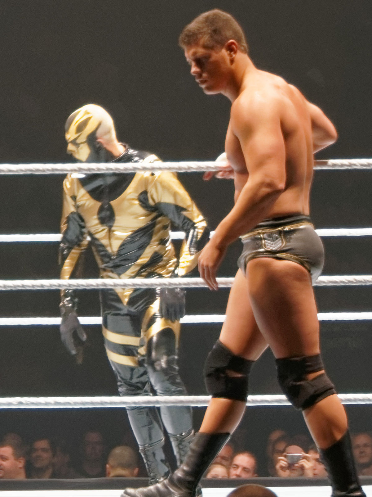 Cody Rhodes And Goldust Wikipedia