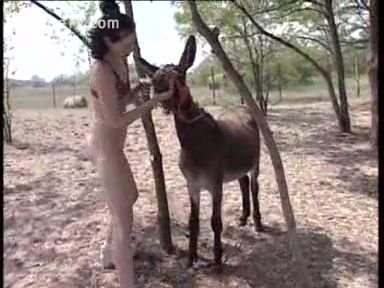 Slutty Bitch Fucking With A Donkey Or Girl Gets Fucked Donkey 1