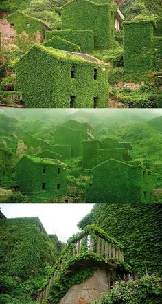 Abandoned Village In China Overtaken Nature Shengsi Archipelago Is A Famous Tourist Destination Located