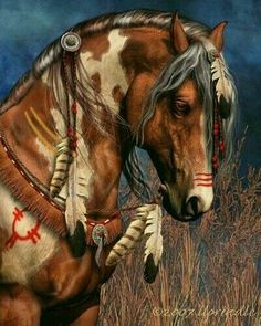 Adorable Wonders Of Nature Pinterest Horse Animal And Horse