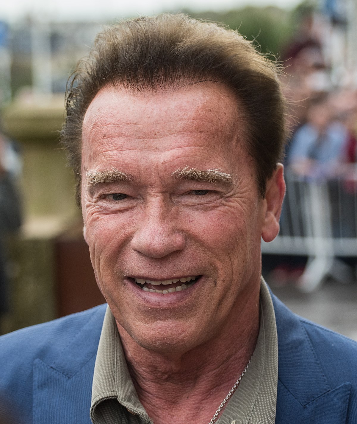 Arnold Schwarzenegger Wikipedia 1