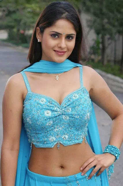 Beautiful Sexy Indian Actress Hot Wallpapers