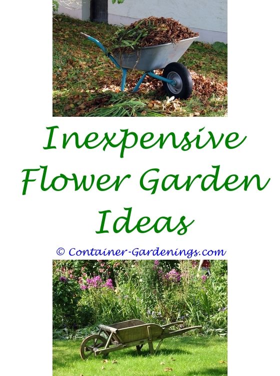 Best Asian Garden Ideas On Pinterest Small Oriental Garden 3