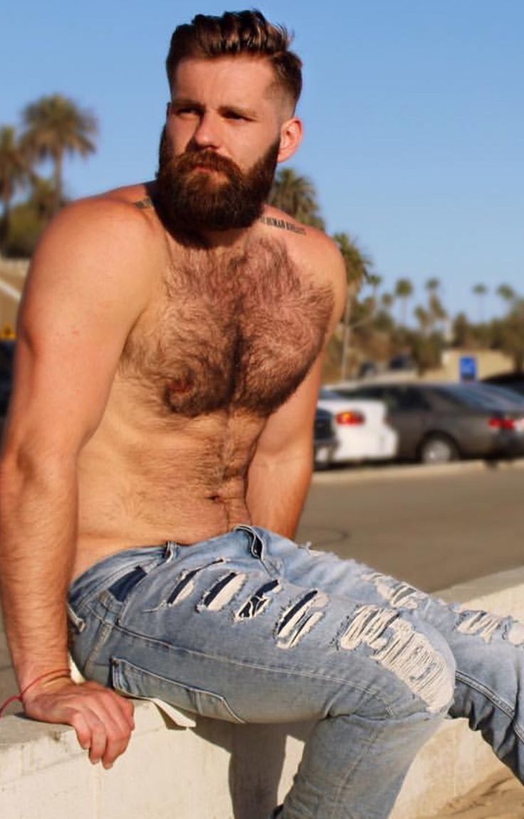 Best Beards Images On Pinterest Bear Cubs And Hairy Chest