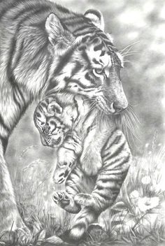 Best Black And White Animal Photography Images On Pinterest Animal Pictures Black White And Black And White 1