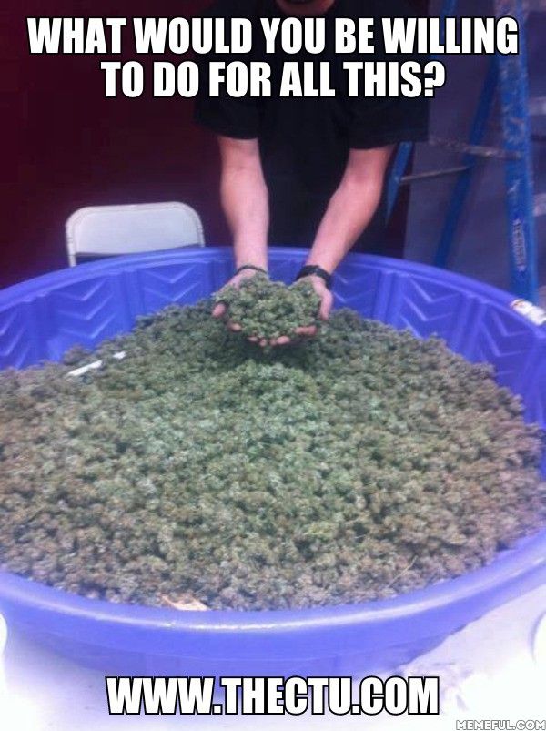 Best Dabs Culture Images On Pinterest Marijuana Funny 1