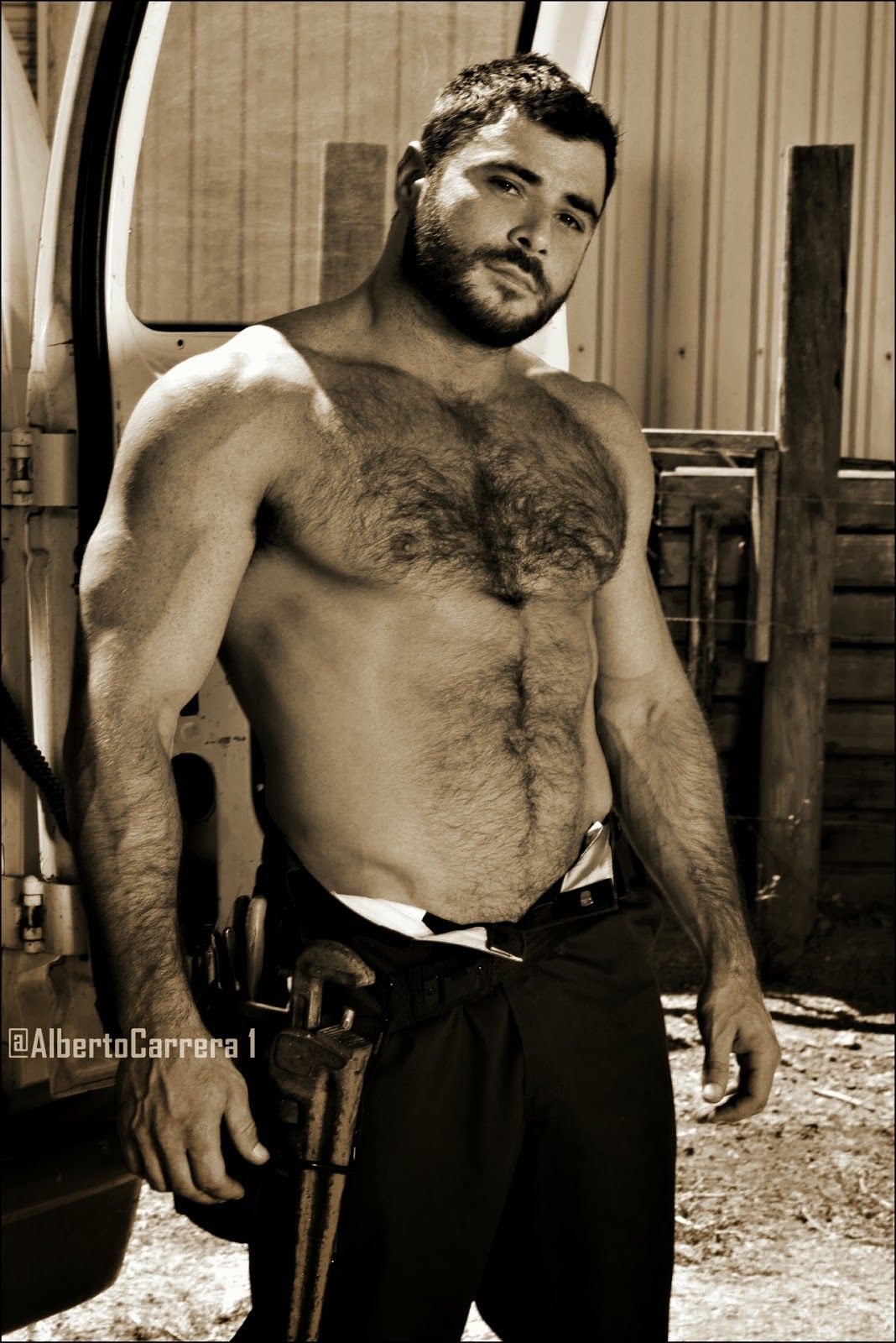 Best Gay Stuff Images On Pinterest Hairy Men Hot Men And Bears