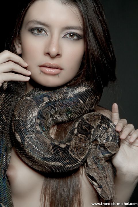 Best Girls Snakes Images On Pinterest Snakes Snake