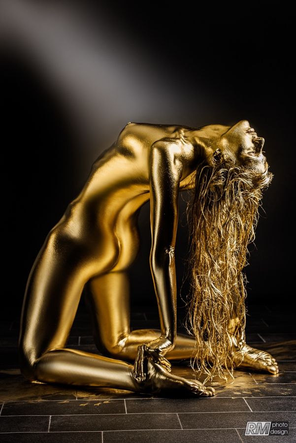 Best Golden Images On Pinterest El Dorado Gold Rush