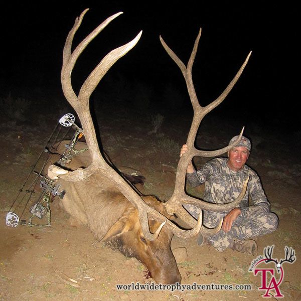 Best Hunting Images On Pinterest Big Game Bull Elk And Elks