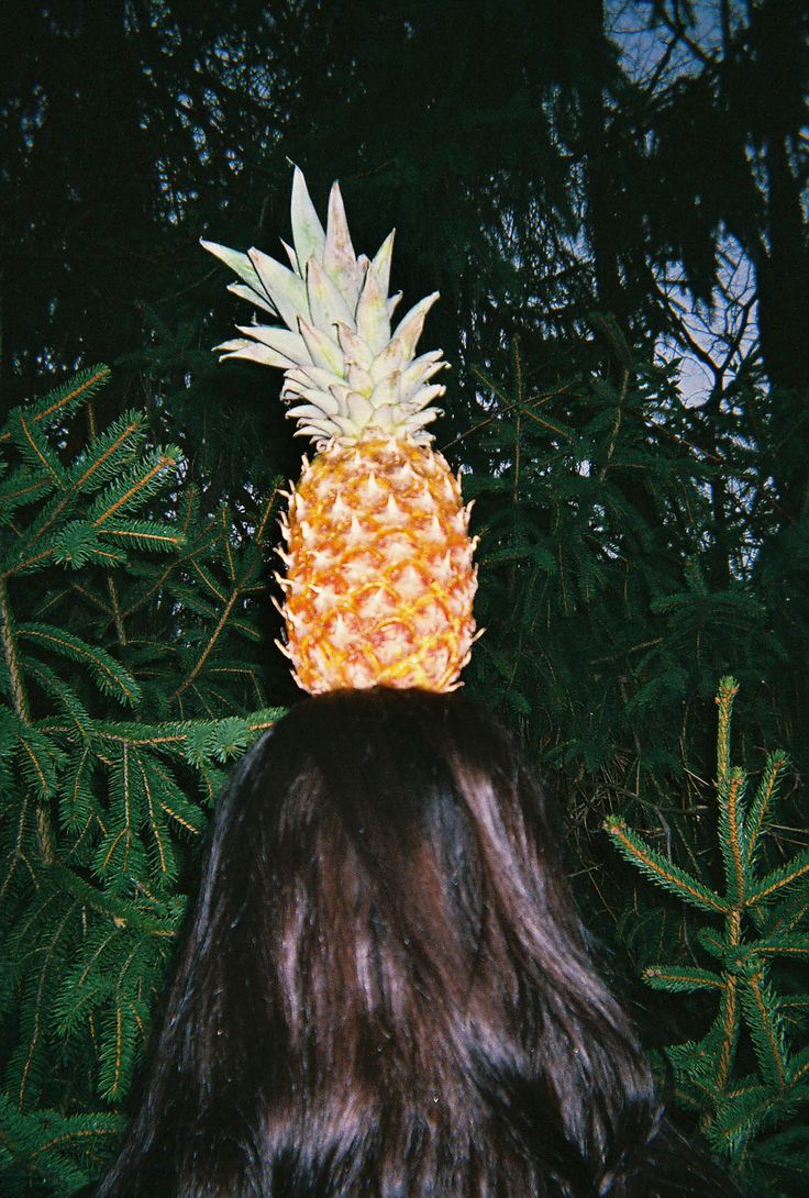 Best Pineapple Images On Pinterest Pineapple Art Ideas 2