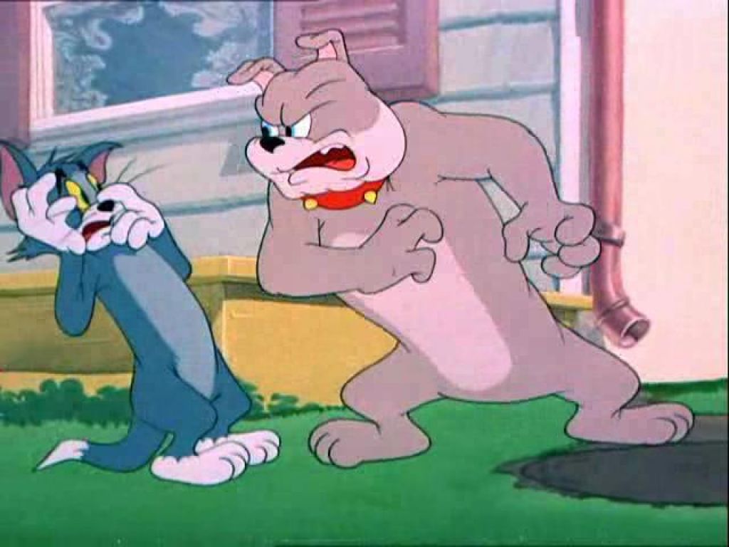 Best Profile Pictures Tom Jerry Pictures 4