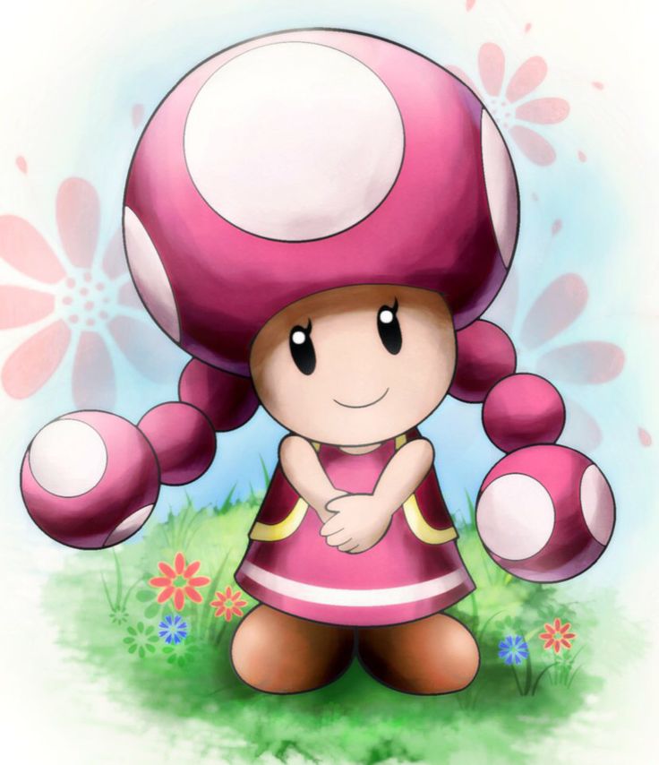 Best Toad Loving Images On Pinterest Super Mario Bros 1