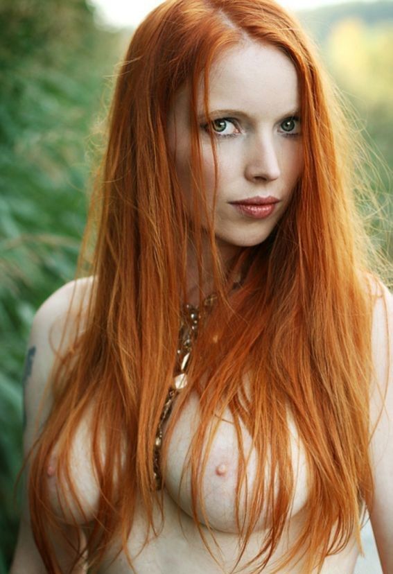 Best Tonys Burds Images On Pinterest Redheads Auburn Hair