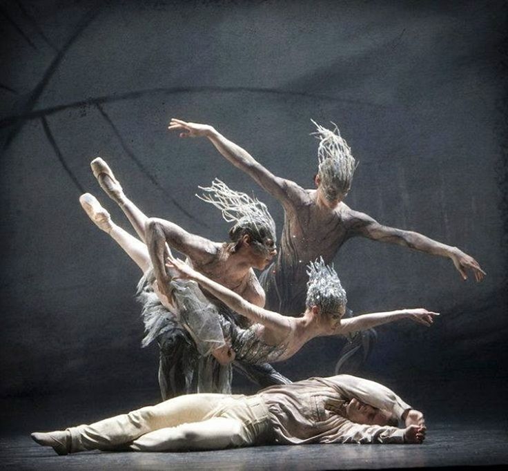Best Vladimir Malakhov Images On Pinterest Ballet Dance
