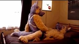 Blowjob Doggystyle Yiff Furry Masturbation Sex Costume Dog