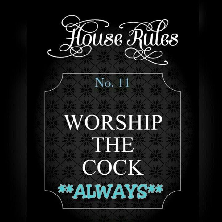 Book Jacket Submissive House Rules Princess House Instagram Book Cover Art