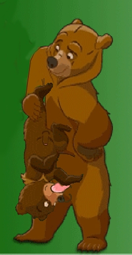 Furry gay bear porn - XXXPicss.com