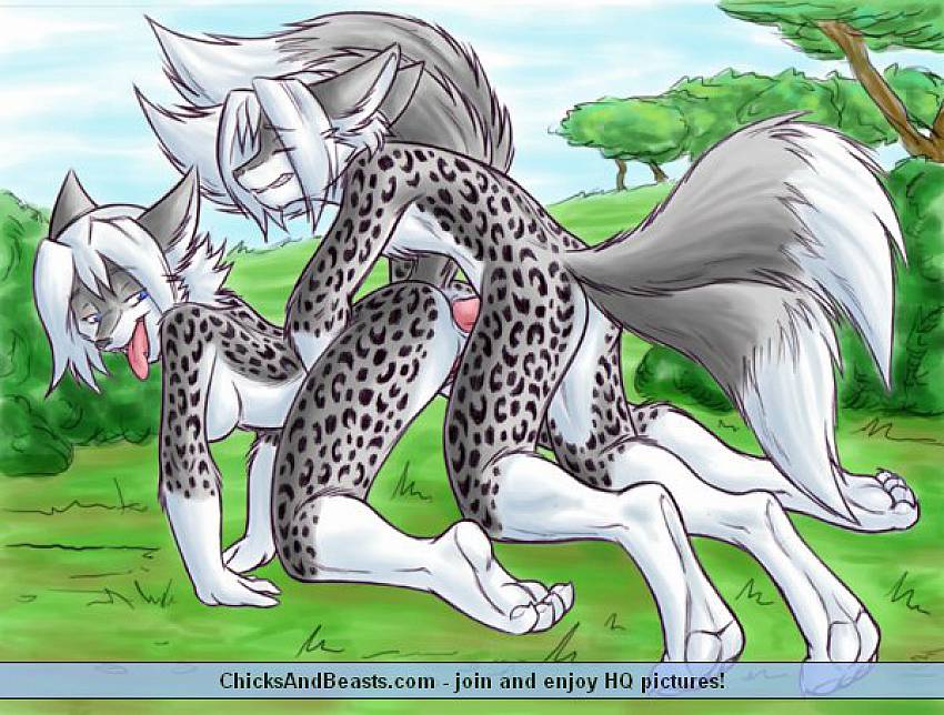 Cartoon Animal Porn Pics Pertaining To Cheating Furry Wives Anime Content Pics