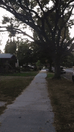 Casual Day In The Neighborhood Unexpected Porn Neighborhood Funny Casual Gif