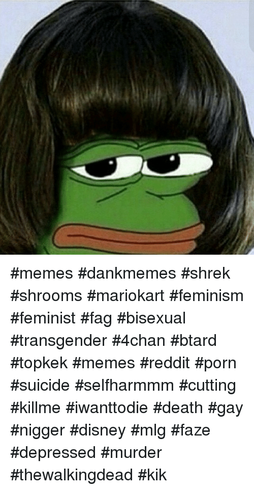 Chan Disney And Feminism Memes Dankmemes Shrek Shrooms Mariokart Feminism Feminist Fag Bisexual