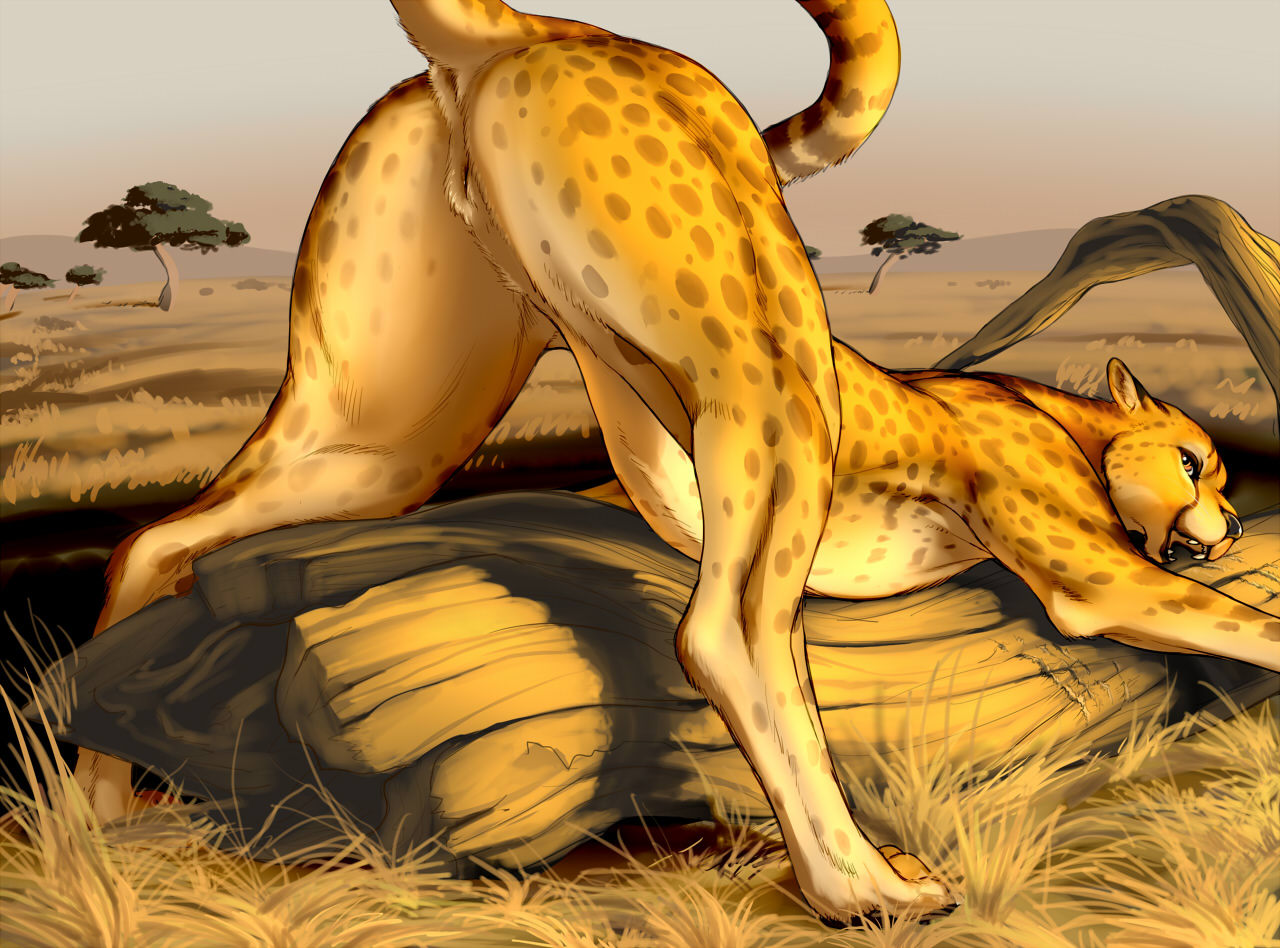 Cheetah Butt Feral Kikurage