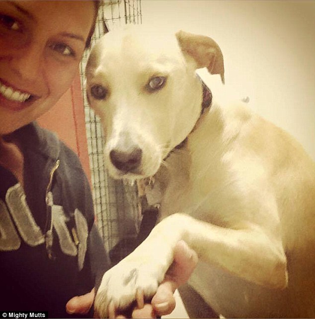 Dahlia Ayoub Pictured With Lana Of Mighty Mutts Said Lana Was Unresponsive