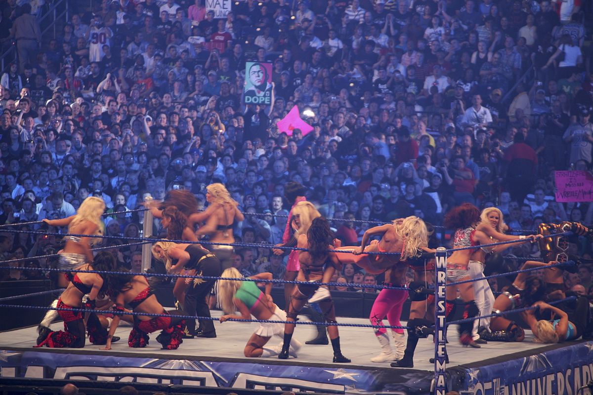 Diva Battle Royal At Wrestlemania