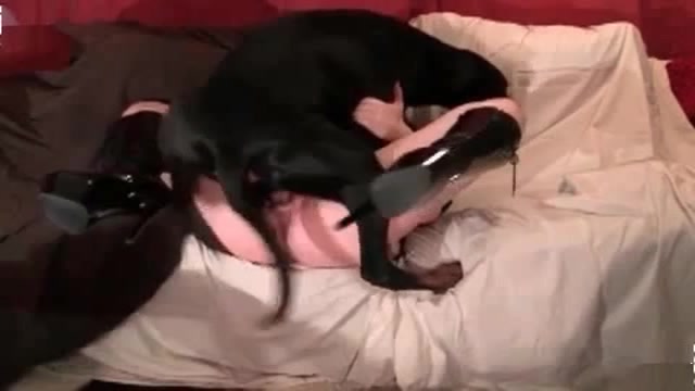 Dog Fucking Slutty Lady Or Pit Bull Helps A Sexy Chick In Bed Only Real Amateurs