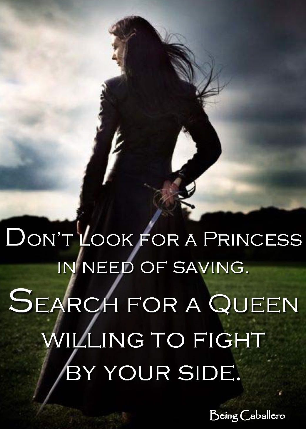 Dont Look For A Princess In Need Of Saving Search For A Queen