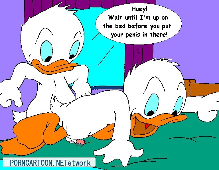 Ducktales Bed Hentai Online Porn Manga And Doujinshi