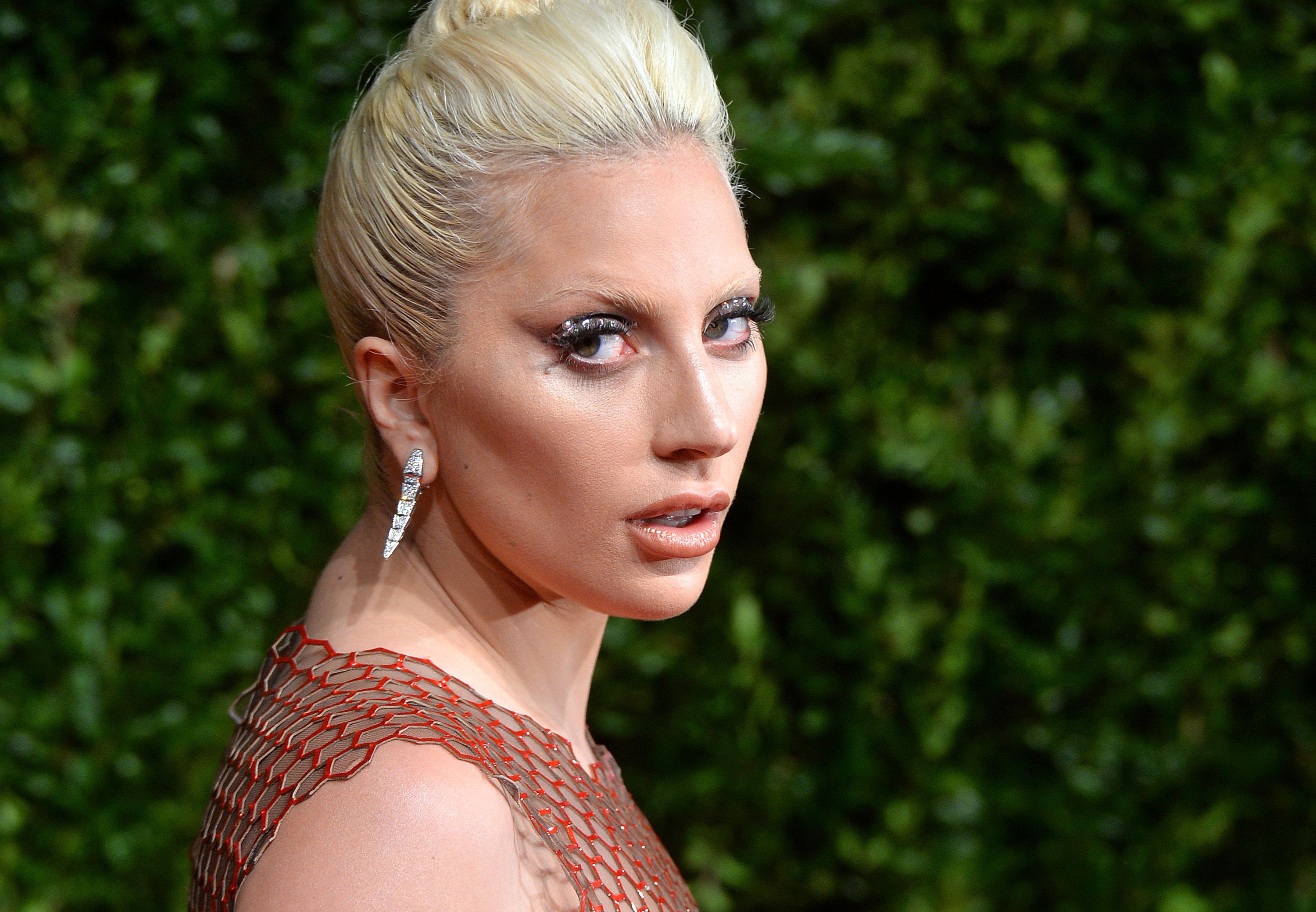 Facts And Debunked Rumors About The Birth Of Lady Gaga