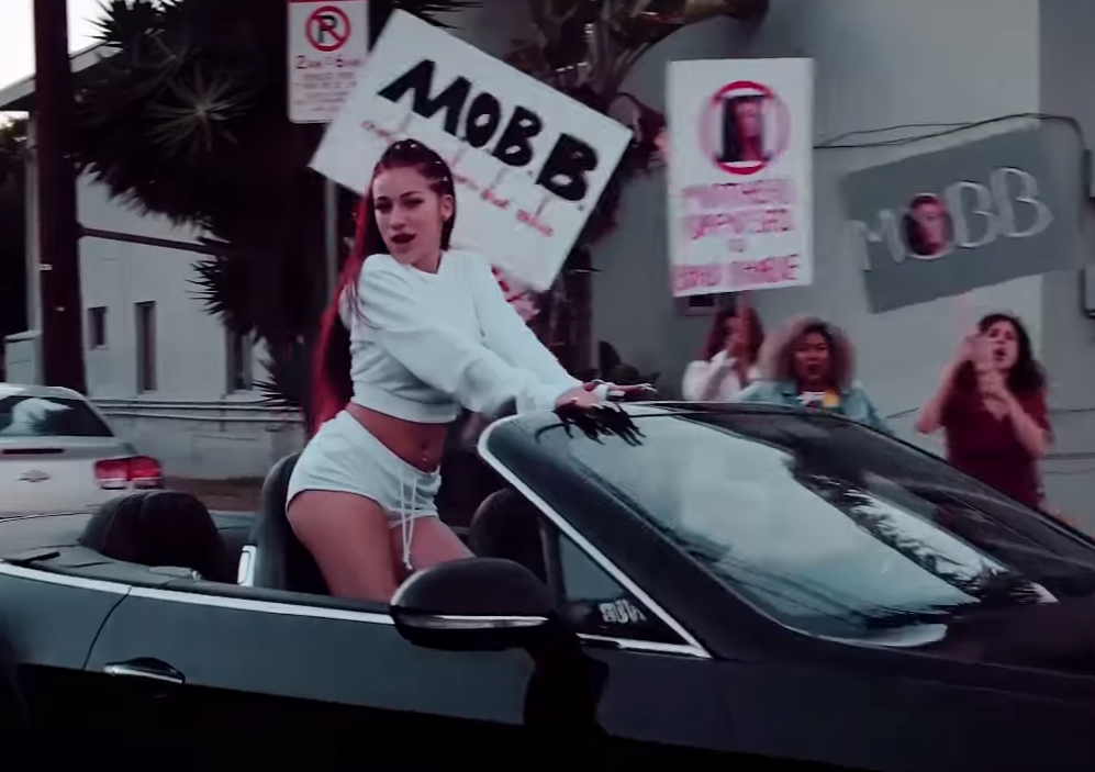 Fake Protesters Waving Placards Are Depicted In The Music Video Which Danielle Posted To Her