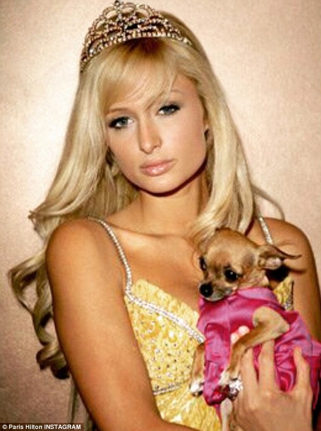 Famous Pet Paris Hilton Dedicated Her Instagram Page On Tuesday To Her Late Chihuahua Tinkerbell
