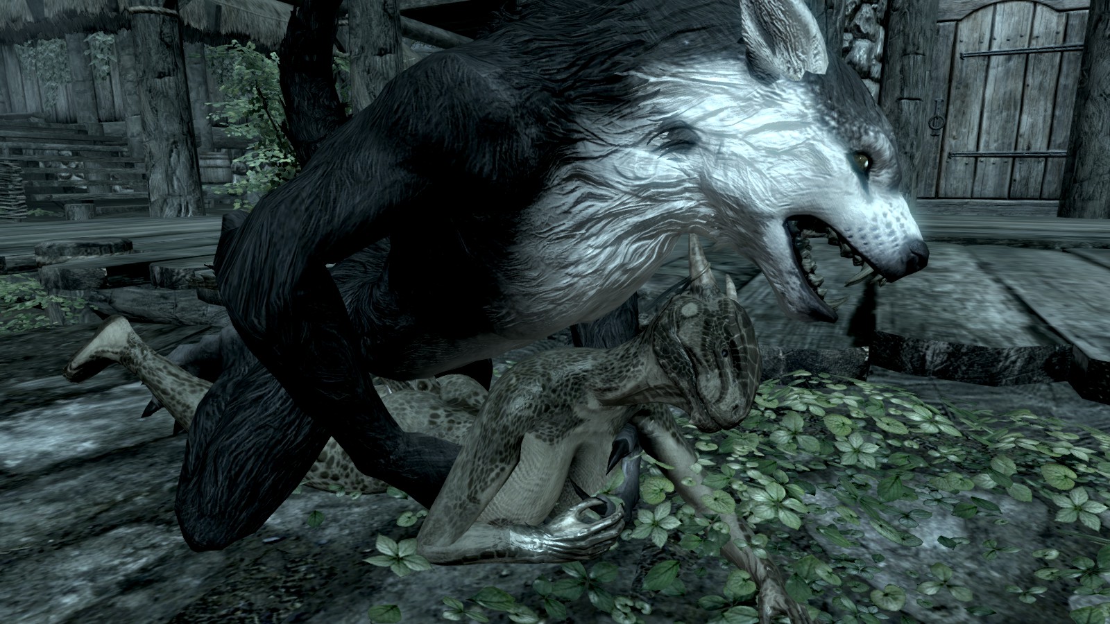 Female Werewolf Argonian Skyrim Tagme Werewolf
