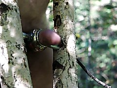 Forest Gay Man Clips And Download Free Gay Forest