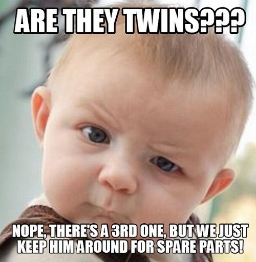 Funny Twin Quotes And Sayings With Images Twin Quotes Twins