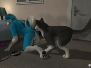 Gay Yiff Anthro And Blue Dog