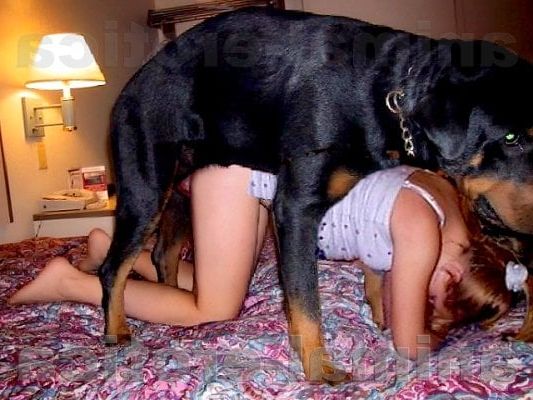 Dog Porn Compilation With Zoofiles And Dogs 8 - XXXPicss.com