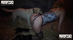 Golden Smart Dog Fucking Girl Who His Owner Dog Porn 28