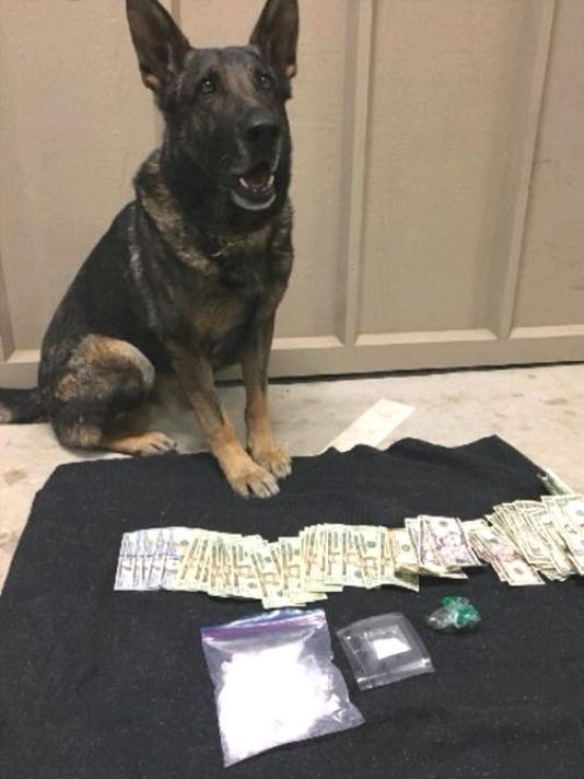 Good Dog Lighting Violation Leads To Meth Heroin Bust