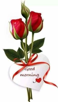 Good Morning Quote Flowers Birds Friend Good Morning Greeting 1