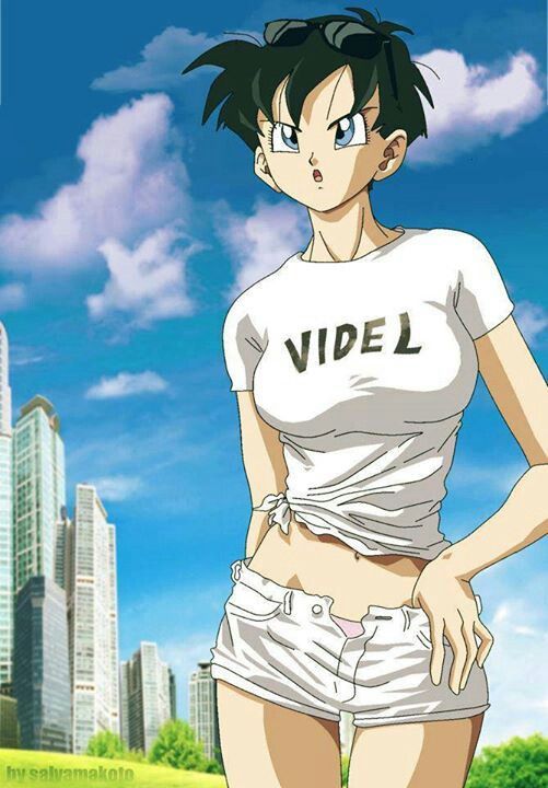 Hd Wallpaper And Background Photos Of Sexy Videl For Fans Of Dragon Ball Females Images