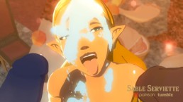 Hentai Legend Of Zelda Breath Of The Wild And Link 5