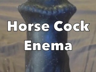 Horse Cock Milk Egg Insertion