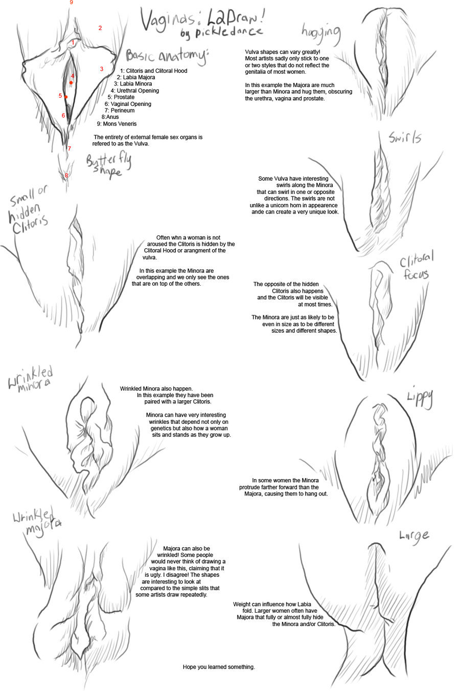 How To Draw Pussy Video