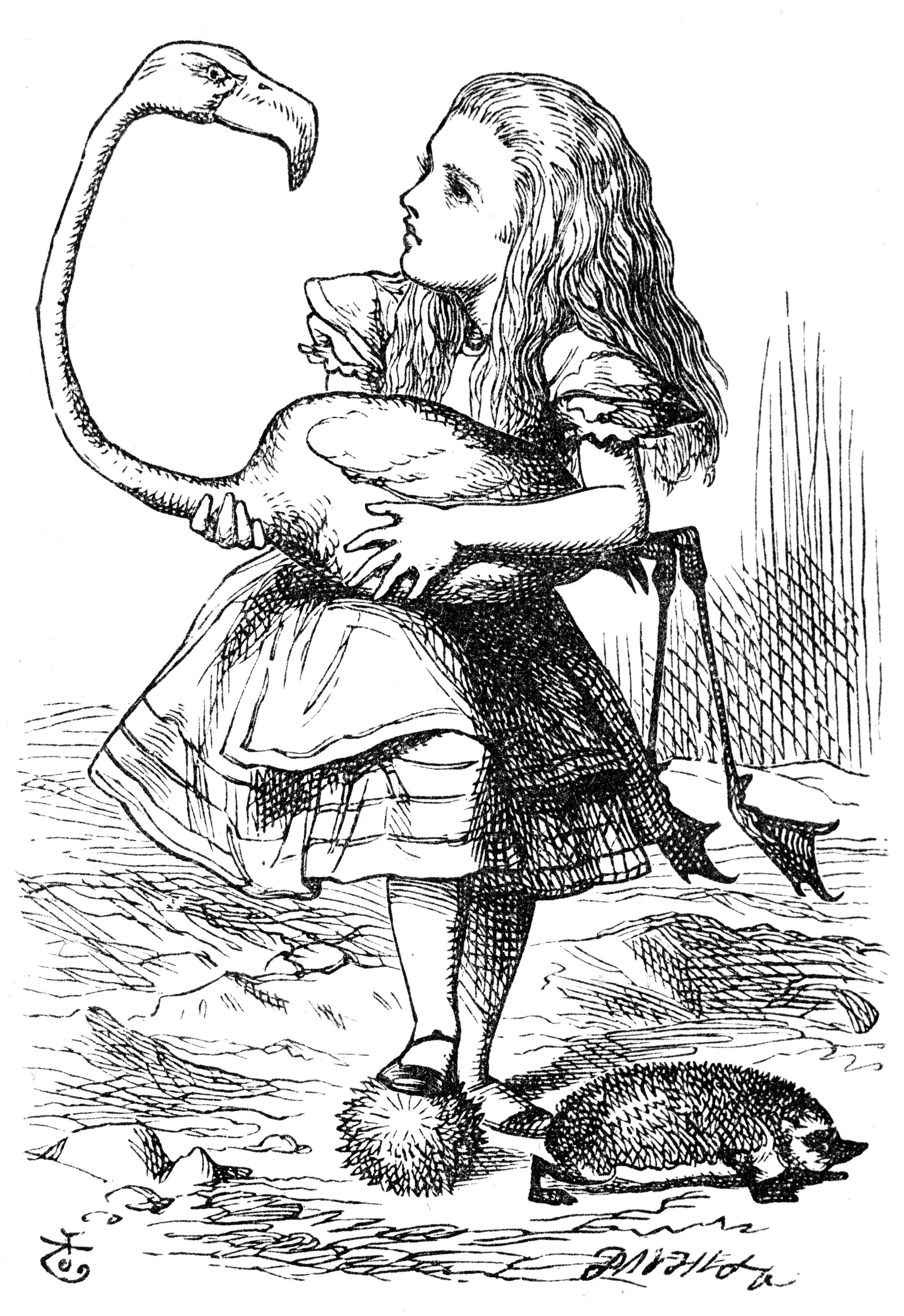 Illustration Of Alice Holding A Flamingo Standing With One Foot On A Curled