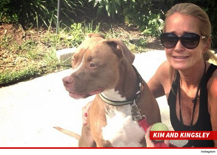 Kyle Richards Daughter Viciously Attacked Kim Richards Pit Bull