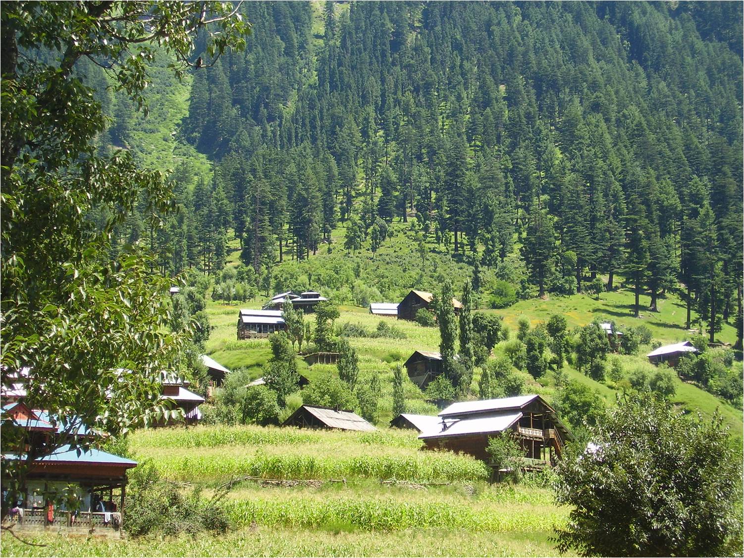 Latest Pictures Of Sharda Village Neelum Valley Azad Kashmir